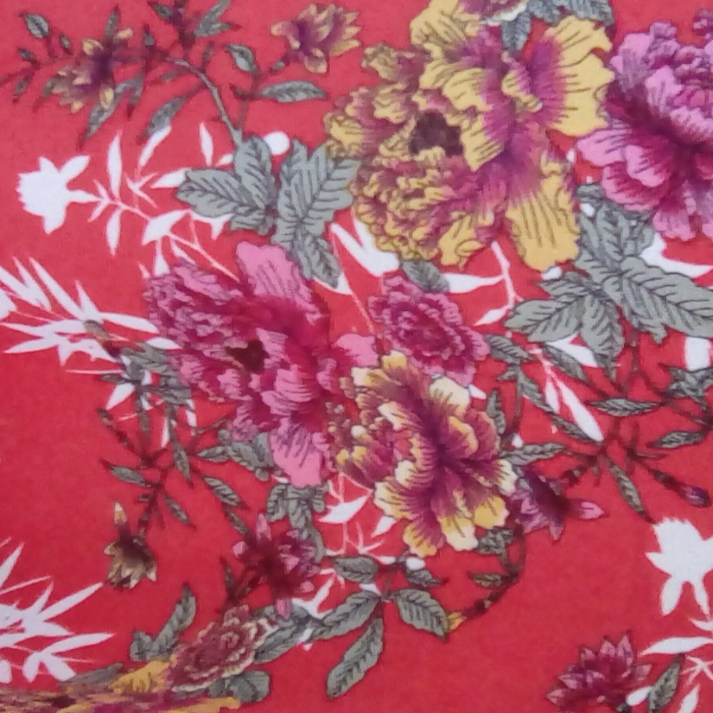 💙Pink Rose Vintage Red Dress - Picture 2 of 8